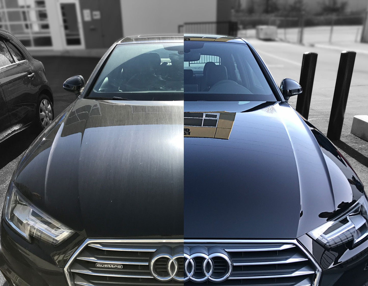 Paint Protection Film